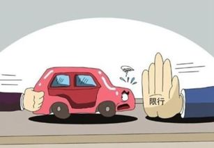 達沃斯期間道路貨運車輛限行通告 保障會議順暢，優化城市交通